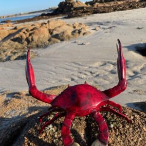 Bronze Crab Sculpture Red Patina Gold Pincers MI 5 0 | Avant Garden Bronzes
