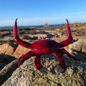 Bronze Crab Sculpture Red Patina Gold Pincers MI 5 5 | Avant Garden Bronzes