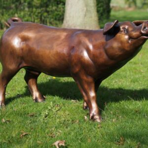 Bronze Pig Lifesize Farmyard Animal Sculpture MI 23 1 | Avant Garden Bronzes