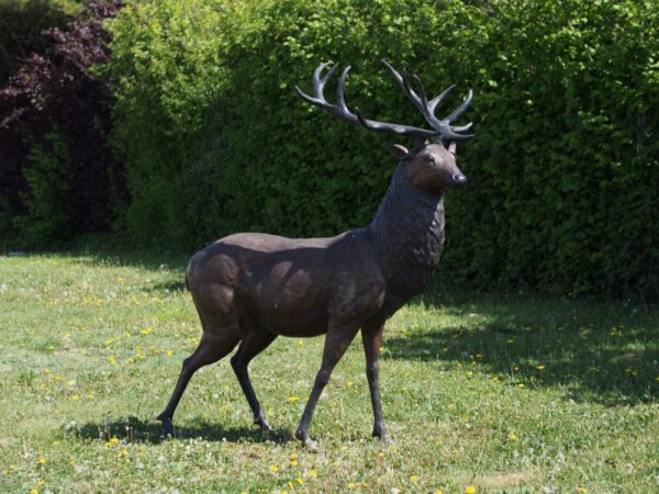 Country Stag Deer Bronze Animal Sculpture 1 | Avant Garden Bronzes