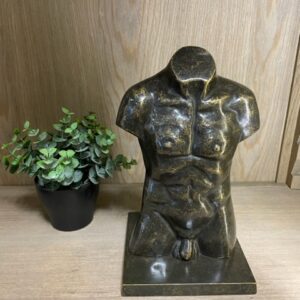 Male Bust Bronze Sculpture 2 | Avant Garden Bronzes