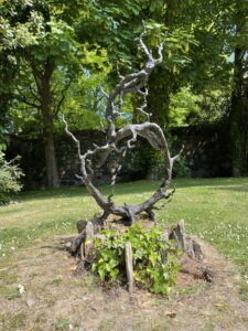 Twiggy Solid Bronze Sculpture Modern Abstract Woodland Branches MO 51 1 | Avant Garden Bronzes