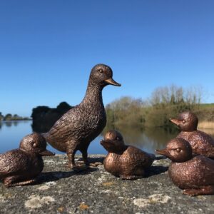 Duck Family Bronze Sculpture Set of Five Birds 17cm Exclusive Gift BI 02 | Avant Garden Bronzes