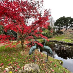 Crane Pair Verdigris Bronze Bird Fountain Sculpture Water Feature FO 33 2