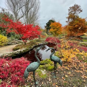 Crane Pair Verdigris Bronze Bird Fountain Sculpture Water Feature FO 33 4