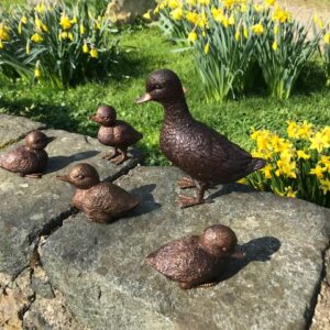 Duck Family Bronze Sculpture Set of Five Birds 17cm Exclusive Gift BI 02 3 | Avant Garden Bronzes