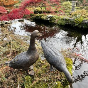 Walking Goose Feeding Duck Solid Bronze Sculptures 4 | Avant Garden Bronzes