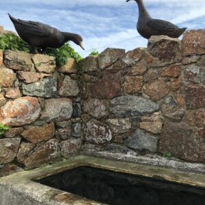 Feeding Duck Walking Goose Bronze Sculptures Water Trough 1 | Avant Garden Bronzes