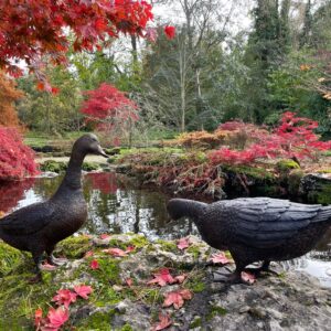 Walking Goose Feeding Duck Solid Bronze Bird Sculptures 3 | Avant Garden Bronzes