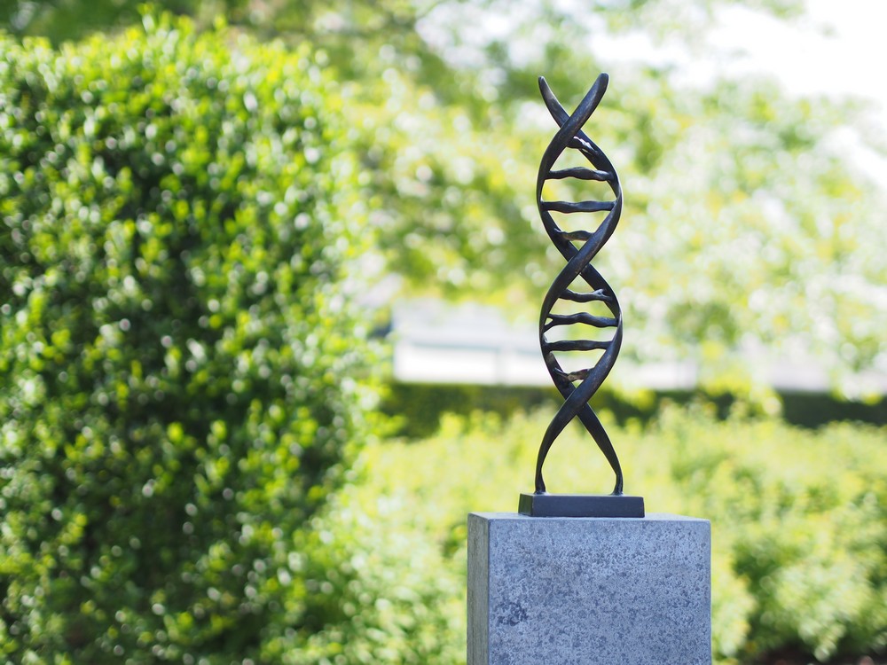DNA Sign Modern Art Bronze Sculpture Ideal Man Gift AB 20 1 | Avant Garden Bronzes