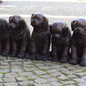 Puppy Love Dog Bronze Sculpture 1 | Avant Garden Bronzes