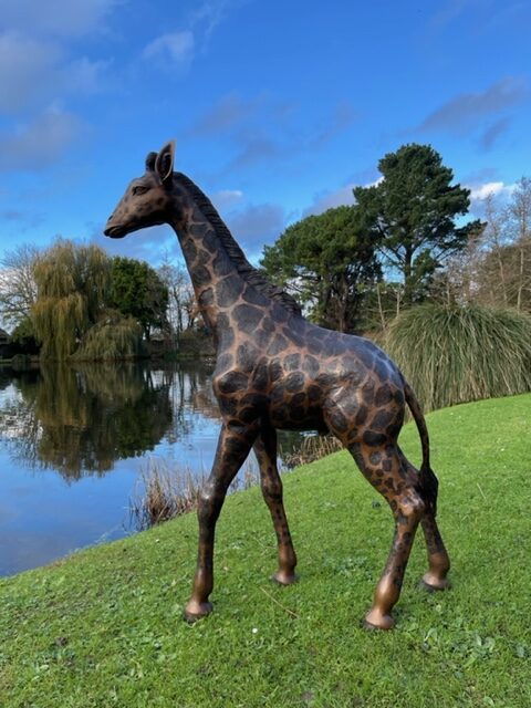 Young Giraffe Bronze Sculpture Wild Animal Art 1 | Avant Garden Bronzes
