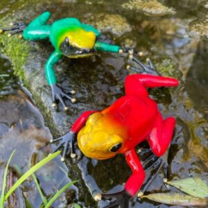 Bronze Frog Pair Exotic Rain Forest Red and Green Sculpture MI 37 7 | Avant Garden Bronzes