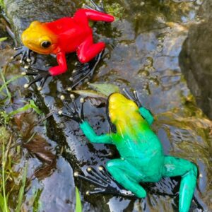 Bronze Frog Pair Exotic Rain Forest Red and Green Sculpture MI 37 1 | Avant Garden Bronzes