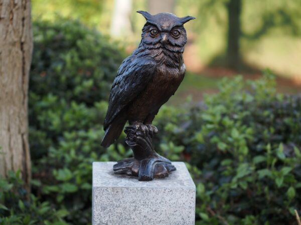 Fine Cast Long Eared Owl Bronze Sculpture 1 | Avant Garden Bronzes