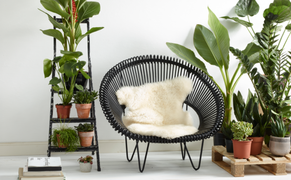 Cruz Cocoon Black Rattan Interior Lounge Chair by Vincent Sheppard 1 | Avant Garden Bronzes