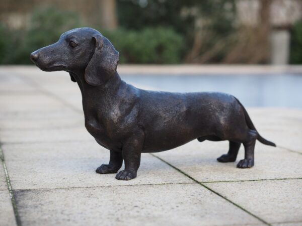 Dachshund Adult Sausage Dog Bronze Sculpture D04 | Avant Garden Bronzes