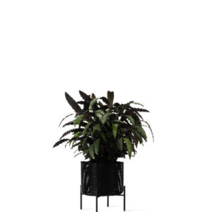 Black Ivo Medium Plant Stand With HDPE Wicker By Vincent Sheppard 3 | Avant Garden Bronzes