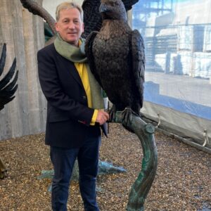 Bronze Bird Eagle Wingspread Sculpture Lifesize On Tree BI 53 - Image 13
