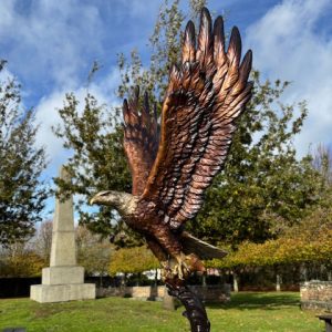 Flying Eagle With Fish Raptor Bird Of Prey 2