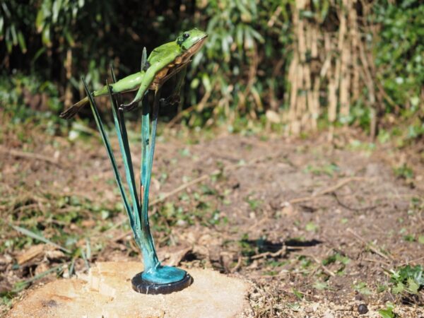 Leaping Green Rain Frog Upwards On Reeds Bronze Sculpture MI120 | Avant Garden Bronzes