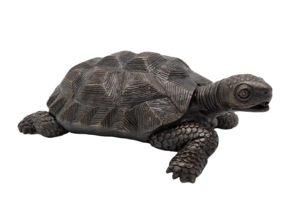 Turtle Crawling Land Reptile Tortoise Bronze Sculpture MI119 1 | Avant Garden Bronzes