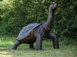 Life Size Giant Galapagos Tortoise Bronze Sculpture 155cm monumental wildlife statue