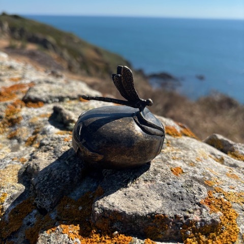 Cremation urn Mini Dragonfly for ashes memorial bronzes (5)