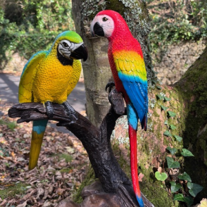 Colourful bronze parrot pair sculpture on branch tropical garden or conservatory decorative art piece