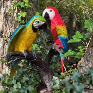 Parrots On Branch Colourful Bronze Sculpture 5