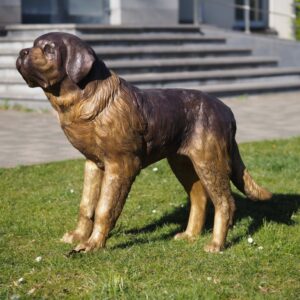 Bronze Saint Bernard Dog Sculpture DO 60