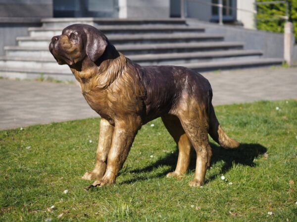 Bronze Saint Bernard Dog Sculpture DO 60