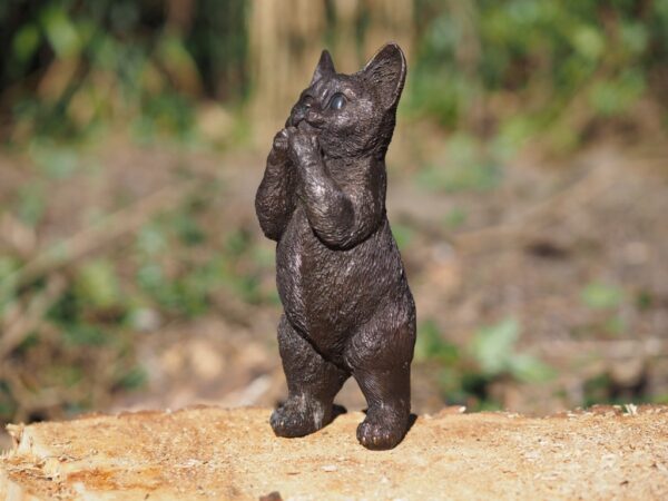 House Kitten Standing Bronze Sculpture