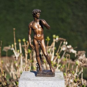 David By Michelangelo 30cm Nude Male Bronze Sculpture FIME 44 3 | Avant Garden Bronzes