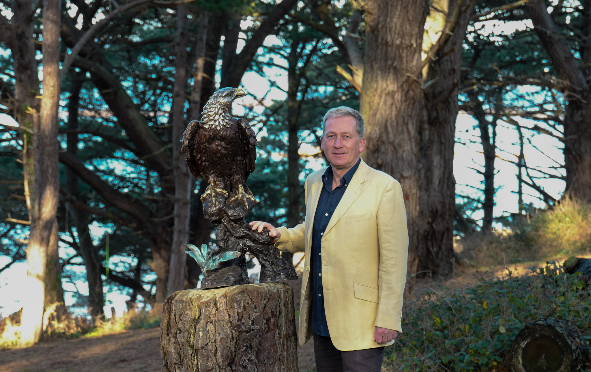 Bronze eagle perched sculpture with silver head accents and gold beak and talons