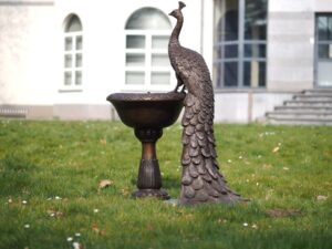 Bronze peacock fountain sculpture on pedestal bowl with flowing water in formal estate garden