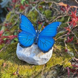 Blue bronze morpho butterfly sculpture on quartz stone garden ornament