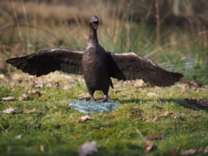 Bronze Duck Wings Spread Welcoming Water Feature Sculpture BI 106 front view on lawn with wings fully extended and natural outdoor setting