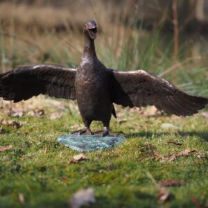 Bronze Duck Wings Spread Welcoming Water Feature Sculpture BI 106 front view on lawn with wings fully extended and natural outdoor setting