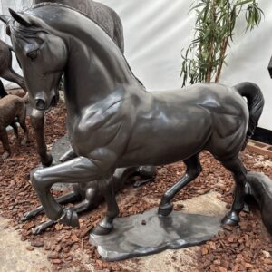 Bronze Stallion Dressage Horse Garden Sculpture HO 56 side profile showing raised foreleg and strong muscular form in dark bronze finish