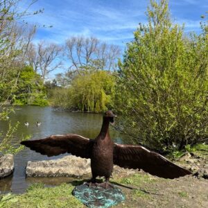 Large bronze duck water feature sculpture with wings spread beside garden pond