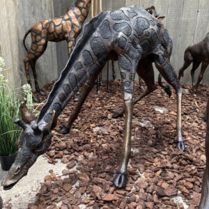 Bronze Drinking Giraffe Safari Garden Sculpture in showroom display with safari wildlife bronzes and water feature sculptures in background