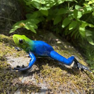 Exotic Tree Frog Bronze Sculpture Blue MI 73 colourful blue and green bronze tree frog sculpture resting on a moss-covered rock amongst lush garden foliage