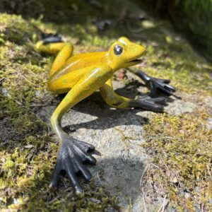 Golden Yellow Tree Frog Bronze Sculpture MI 75 side profile of a bright yellow bronze tree frog with long limbs and realistic climbing pose.