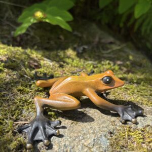 Golden Tree Frog Bronze Sculpture MI 74 tropical-inspired bronze frog sculpture with warm golden patina positioned naturally on stone and moss.