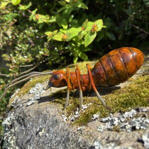 The Golden Forager - Amber Garden Ant Bronze Sculpture MI 76 full sculpture displayed on a natural rock surrounded by greenery and garden planting.