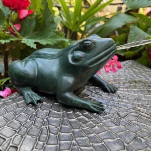 Bronze Frog Water Feature & Garden Fountain - Verdigris Bronze Frog Spitting Water Feature FO112