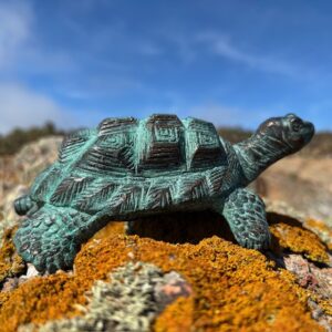 Little Tortoise Fountain Verdigris Bronze Sculpture close-up front view highlighting the lifelike face and textured bronze detailing.
