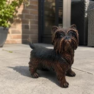 Yorkshire Terrier Bronze Sculpture DO 65 standing on a garden patio.