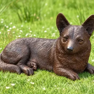 Lying Corgi Bronze Dog Garden Sculpture with detailed textured coat, large upright ears and a friendly expression, resting on a grassy lawn.